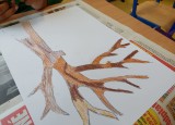 IMG-20221030-WA0019.jpg