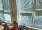 20221102_083925.jpg