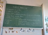 IMG-20221113-WA0024.jpg