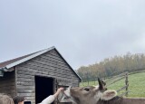 21483203-FFC2-43F9-894C-113B9D9A181A.jpeg