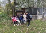 CEAC1036-268A-4A95-B773-320FD0B5CC13.jpeg