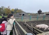 9CE1362B-D1BC-4083-8625-EDE05F8F10F6.jpeg