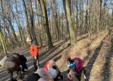IMG_8503.jpg