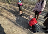 IMG_8511.jpg