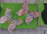 IMG-20230413-WA0041.jpg