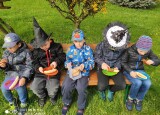 IMG_20230428_094034.jpg