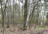 IMG-20230418-WA0041.jpg