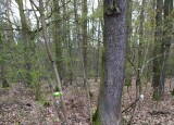 IMG-20230418-WA0034.jpg