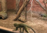 IMG_6640.JPG