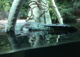 IMG_6711.JPG