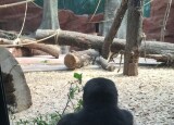 IMG_6645.JPG