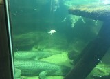 IMG_6713.JPG