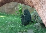 20230616_123627.jpg
