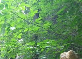 20230616_115220.jpg