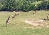 20230616_101839.jpg