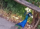 20230616_094252.jpg