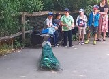 20230616_094238.jpg