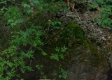 20230616_115209.jpg