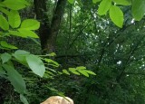 20230616_115205.jpg