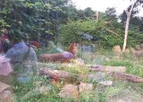20230616_121622.jpg