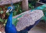 20230616_094257.jpg