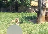 20230616_122117.jpg