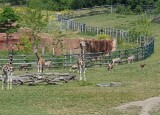 20230616_104704.jpg