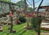 20230616_094758.jpg