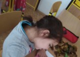 IMG_20201009_103111.jpg