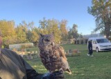 IMG_1861.jpeg