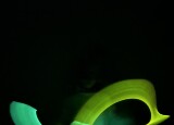 55F4E27E-C9F7-4EF5-BFEB-9957E754E7BA.jpeg