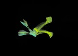 521DE716-30ED-414E-921C-5B7545D08B30.jpeg