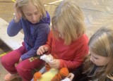 IMG_1920.jpeg