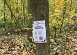 IMG_1204.jpeg