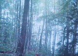 IMG-20231129-WA0014.jpg