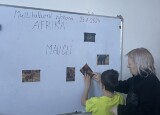 IMG_2239.jpeg