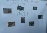 IMG_2242.jpeg