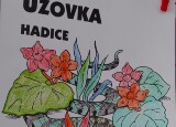 IMG-20240429-WA0036.jpg