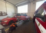 IMG_3090.jpeg