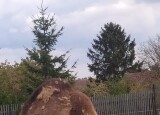 IMG-20240510-WA0053.jpg