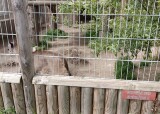 IMG-20240510-WA0028.jpg