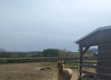 IMG-20240510-WA0042.jpg