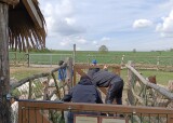 IMG-20240510-WA0076.jpg