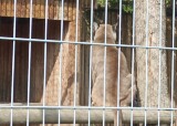 IMG-20240510-WA0079.jpg