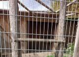IMG-20240510-WA0029.jpg