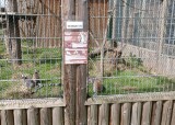 IMG-20240510-WA0027.jpg