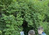 IMG_5318.jpeg