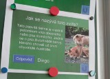 IMG-20240516-WA0021.jpg
