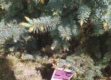 IMG-20240520-WA0013.jpg