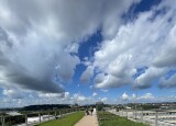 IMG_3266.jpeg